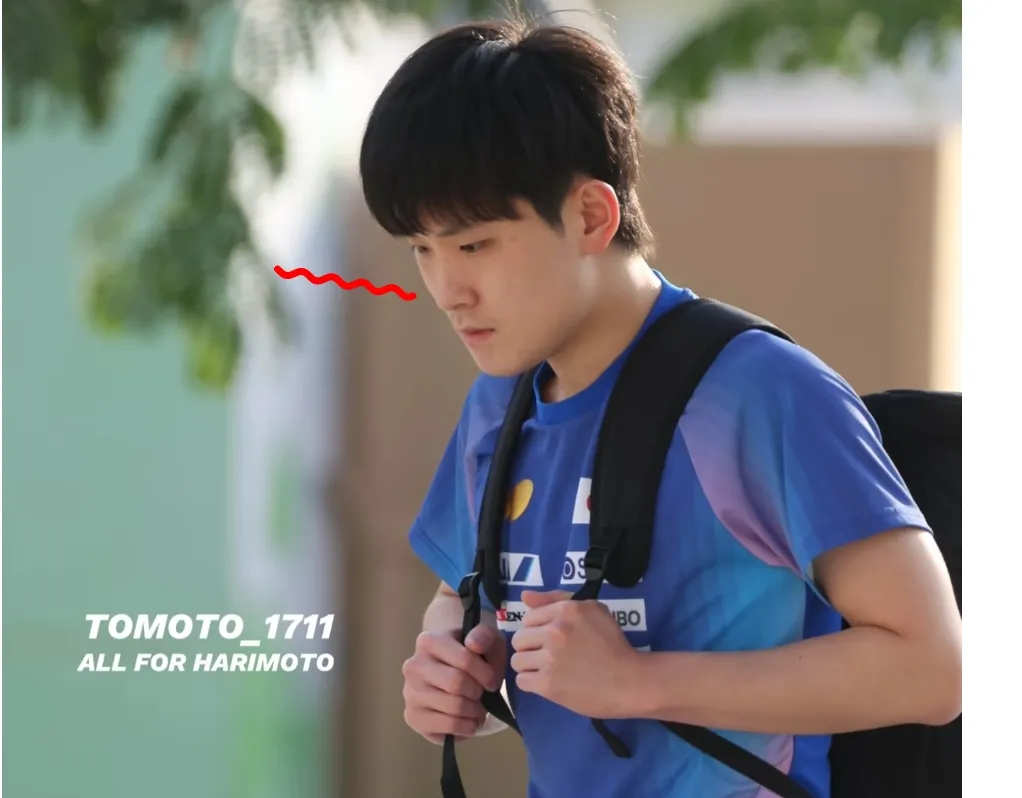 波兰乒乓球队轻取中国乒乓球队,张本智和完成帽子戏法的简单介绍 波兰乒乓球队轻取中国乒乓球队,张本智和完成帽子戏法的简单介绍