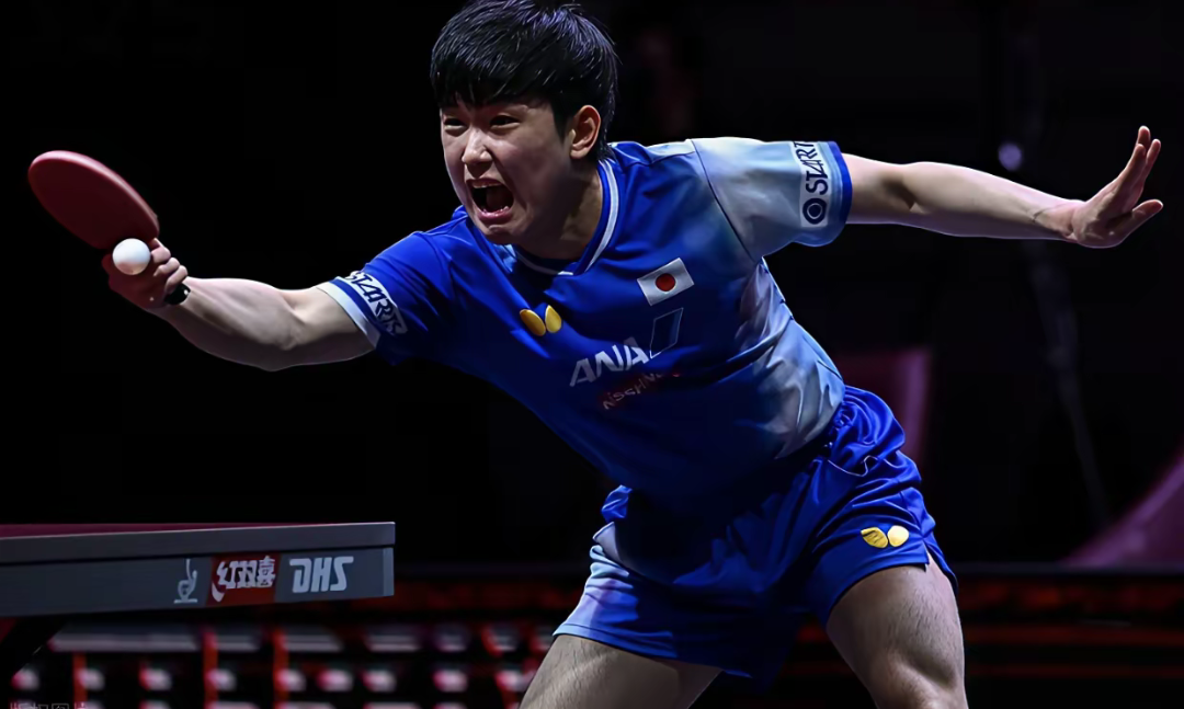 瑞典队轻取奥地利队，张本智和状态火热