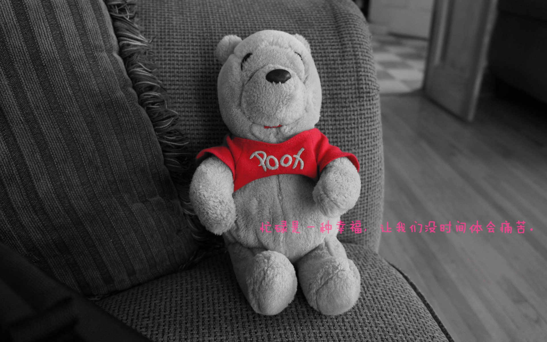 辽宁队惊天逆转勇士队，约基奇成全场瞩目焦点