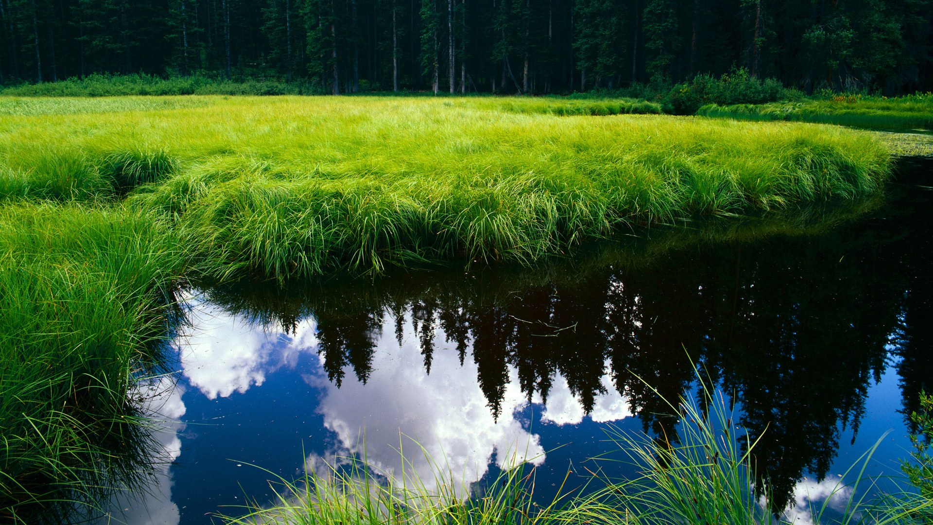 帕尔默数据全面爆炸，马德里竞技主场力克AC米兰，引爆欧冠之夜