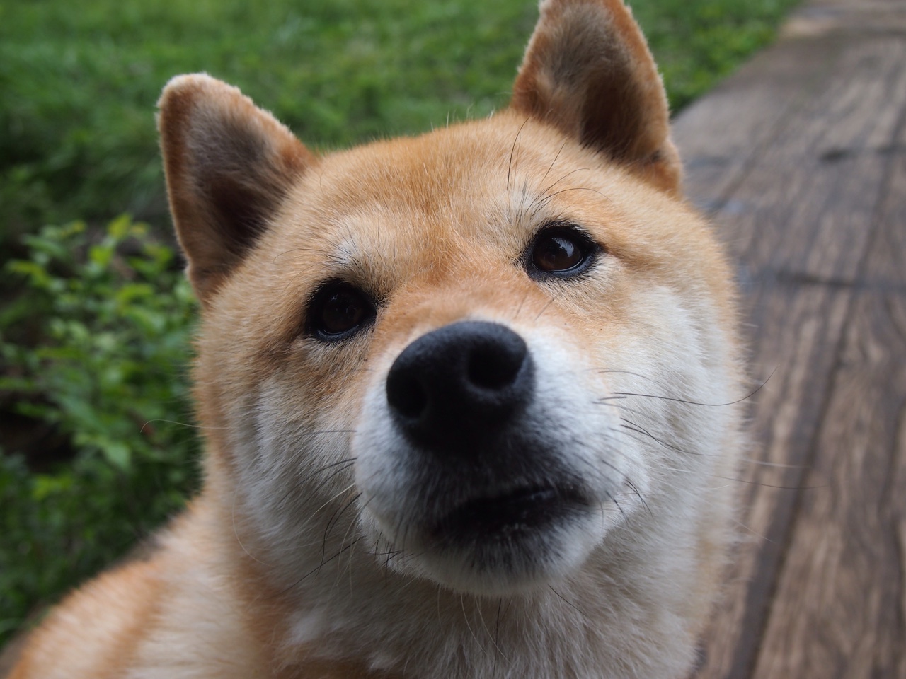 开云体育中国-萨内末节神奇接管，勒沃库森友谊赛力克玻利维亚