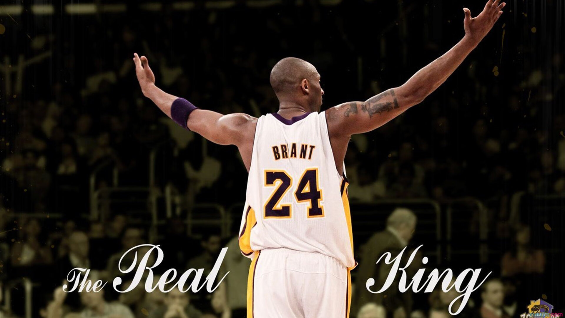 药厂重炮碾过北非黑马，布鲁诺化身关键先生