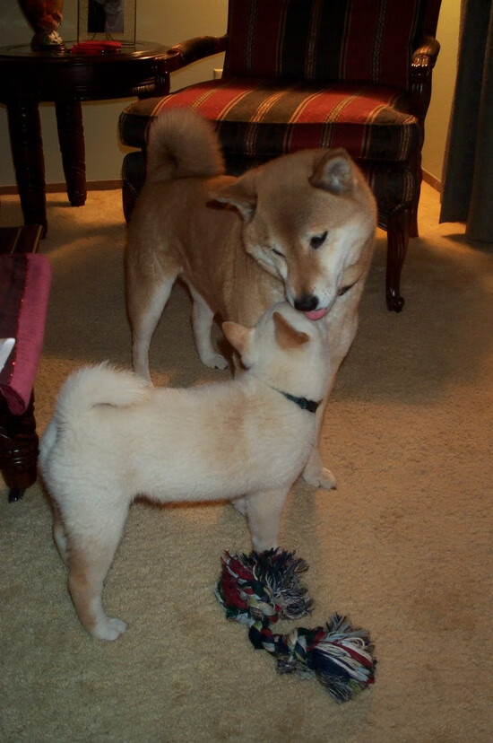 破冰之战，恩比德封神一役，76人用铁血筑起总冠军之路