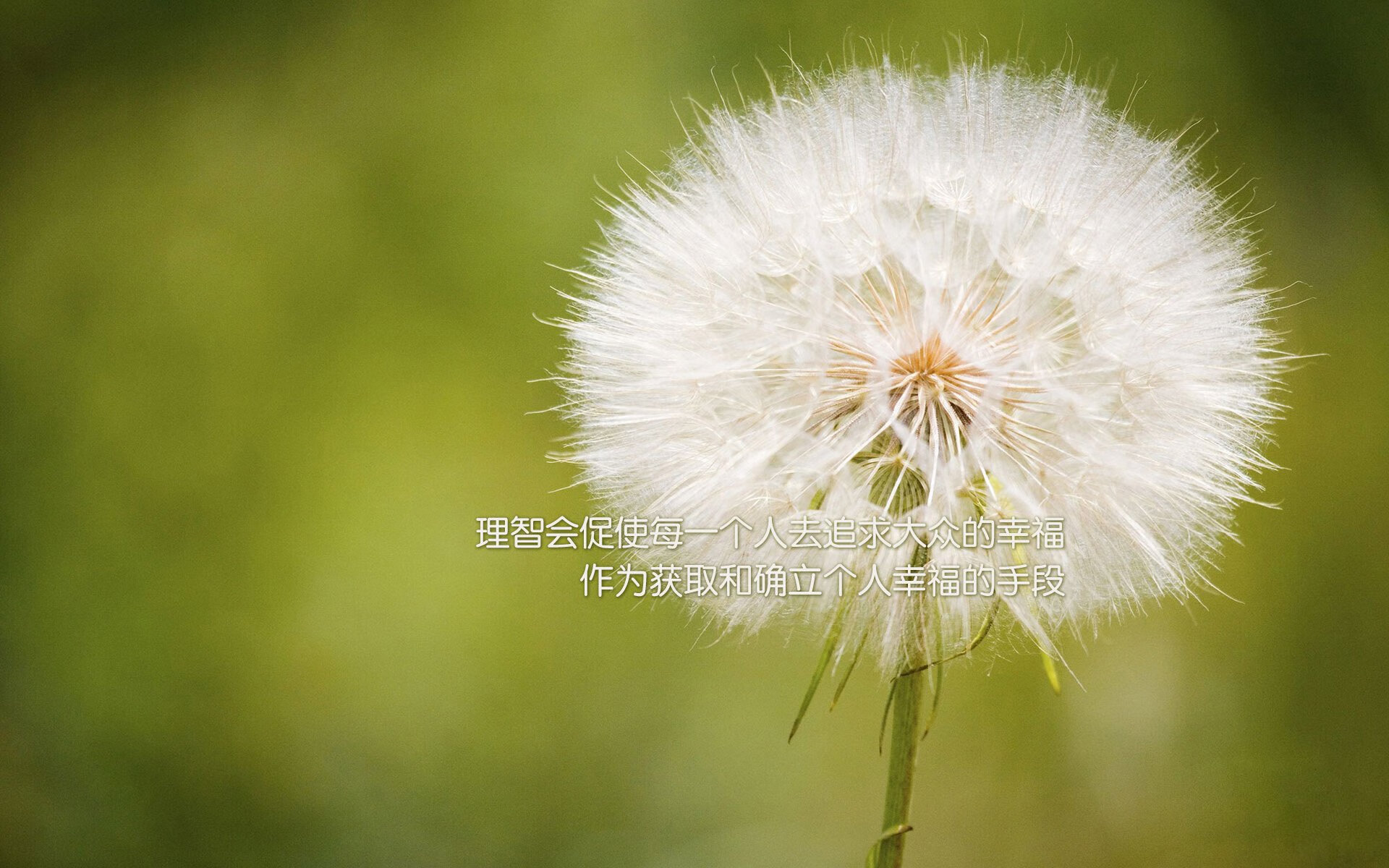 开云体育入口-当克莱在巴林弯道投出绝杀三分，魔术决胜局如何带走F1新赛季的森林狼