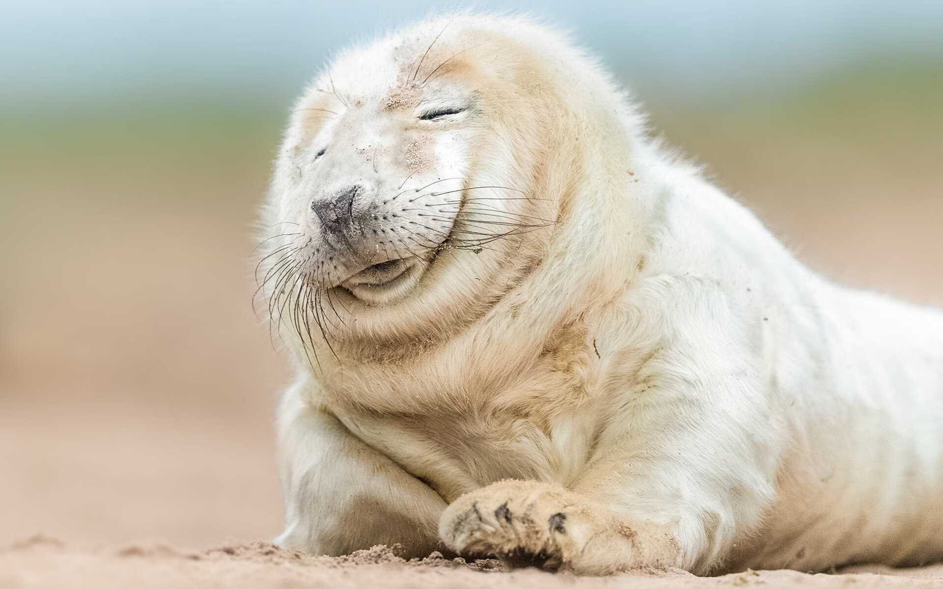 开云体育平台APP-孤胆成军，贝恩血性绝杀之夜