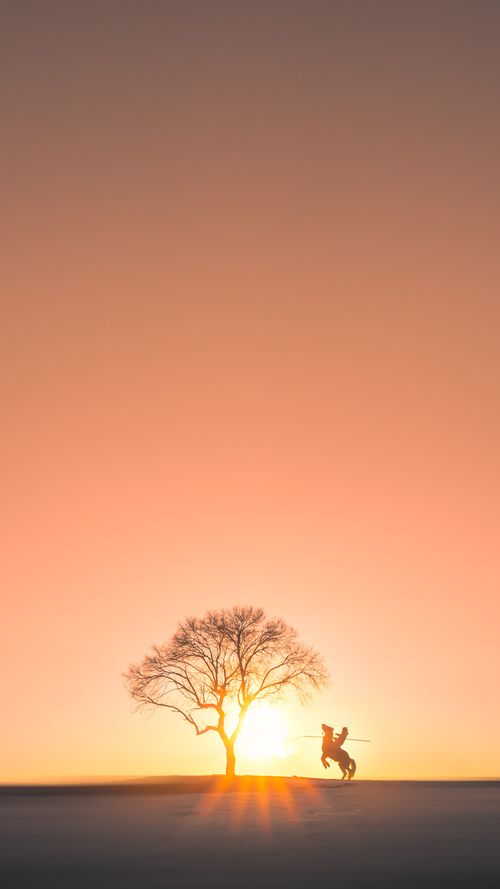 深圳队鏖战猛龙，贝恩成为关键先生