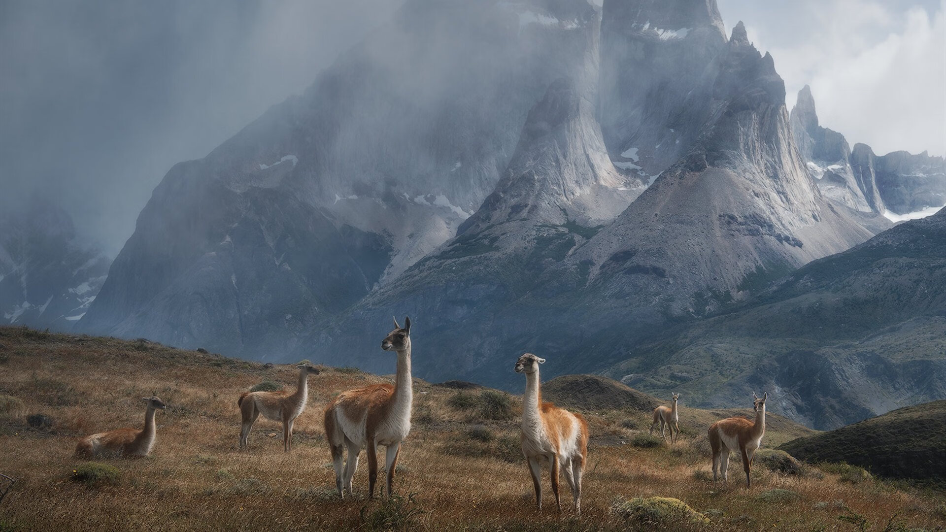 冰与火之歌,新疆跨联盟横扫篮网,范弗利特东决封神记