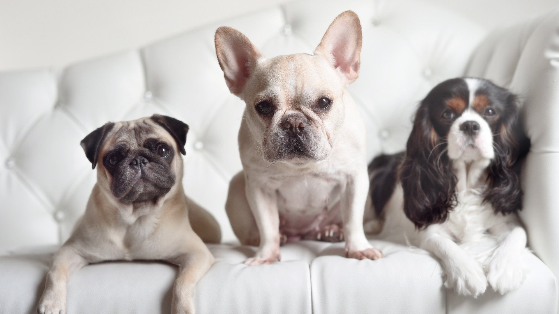 开云APP-格林狂砍41分射落灰熊，硬仗之王再度加冕