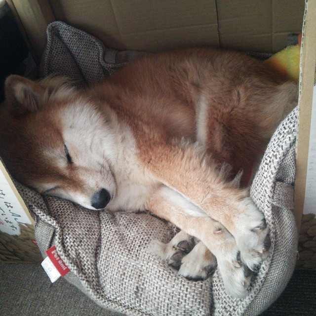 开云体育入口-体育跨界狂想曲，伊朗足球碾压厄瓜多尔，黄喜灿NBA季后赛奇迹接管