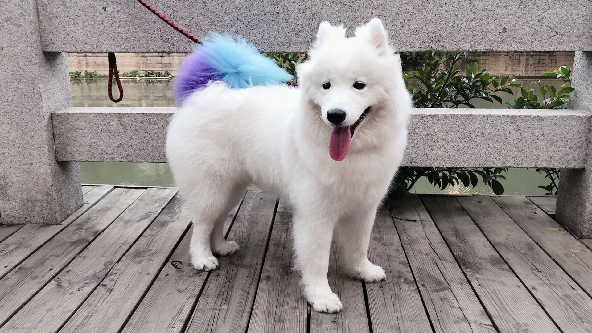 开云体育中国-落幕时刻，英雄诞生，哈弗茨一锤定音的争冠史诗