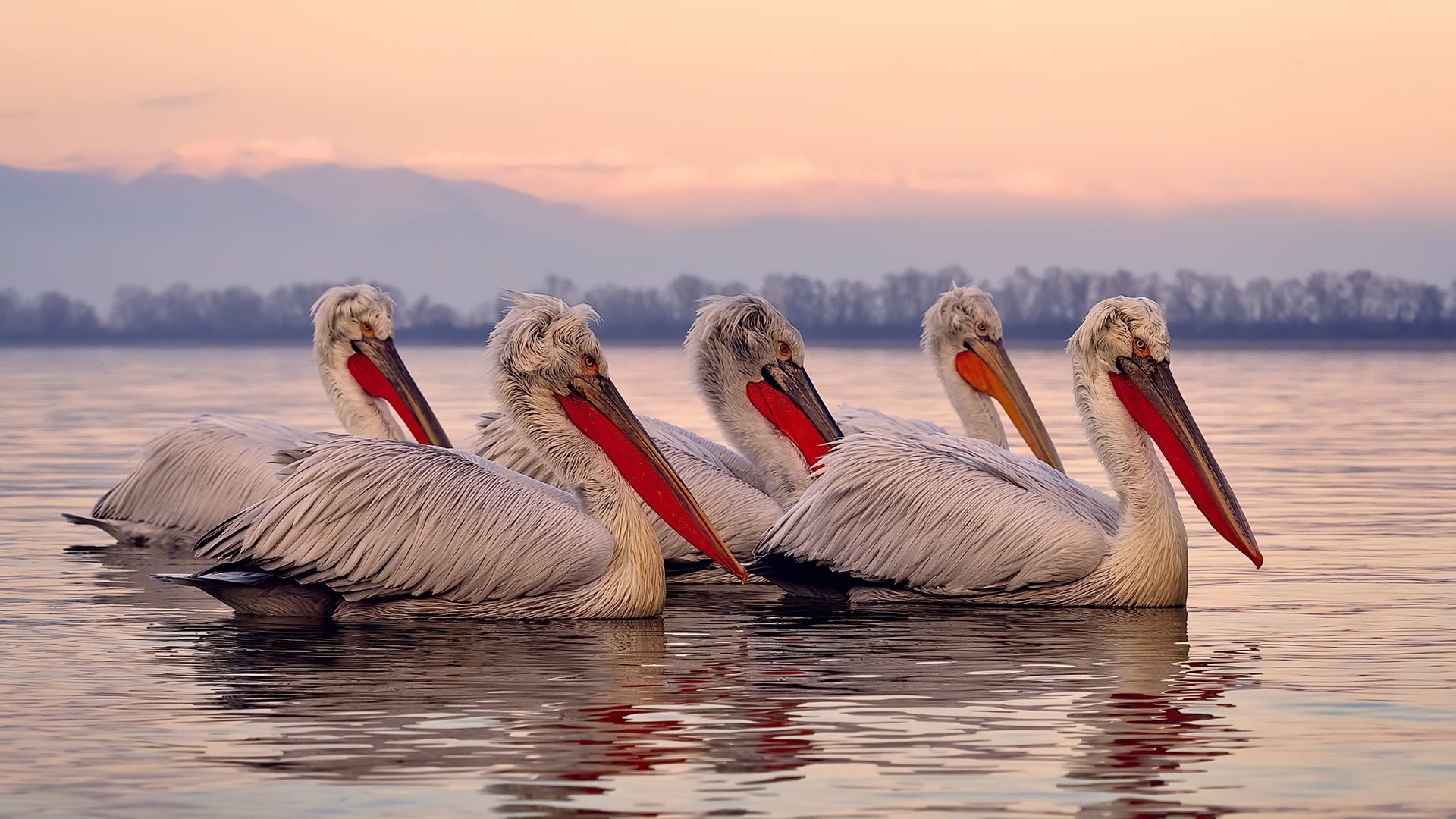 莱比锡红牛横扫突尼斯，楚阿梅尼交出统治级数据上演中场大师课