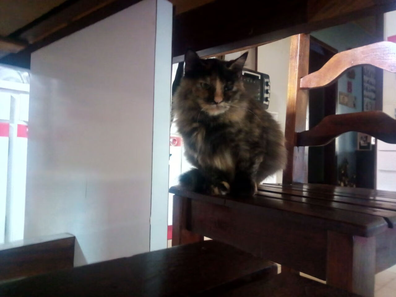 开云APP-跨界焦点，欧冠半决赛与勇士单节风暴的战术共鸣