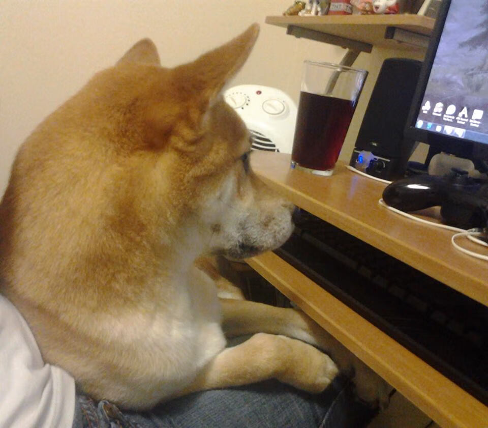 开云APP-塞维利亚征服加拿大，奥利维耶在意甲巅峰战中主宰比赛，足球世界的双星闪耀