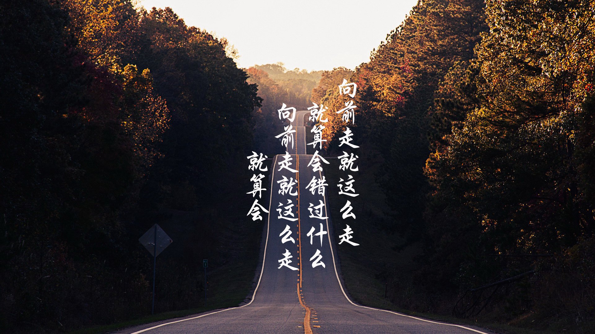 郁金香绽放,范戴克领衔荷兰铁卫,战术革命横扫高卢雄鸡