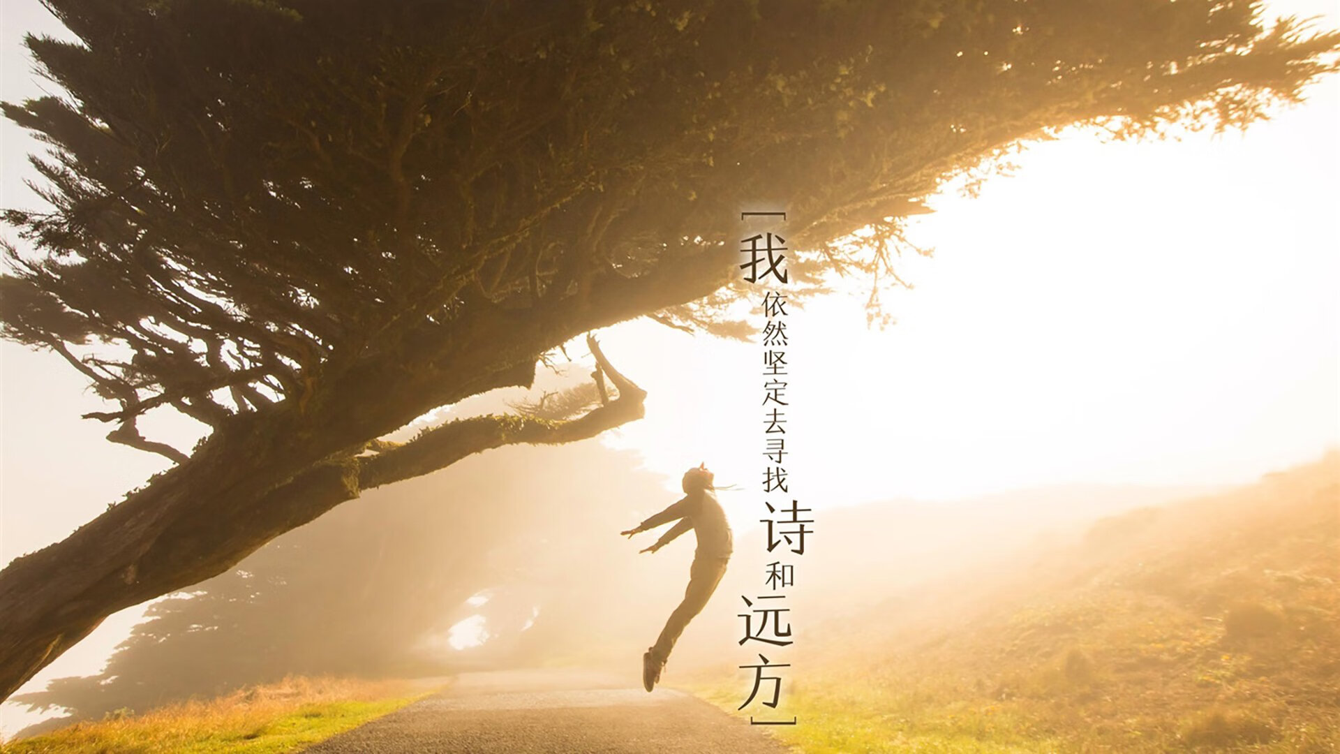 魔笛终章留憾,齐耶赫率比利时险胜克罗地亚—2026世界杯E组上演惊天逆转